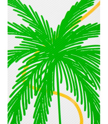 10'7 Tamara et Redwoodpaddle avec pagaie 3 parties alu - Stand up paddle redwoodpaddle